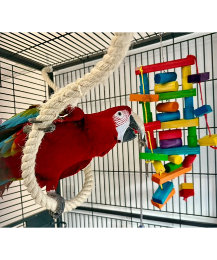 Parrot-Supplies Rainbow Wooden Parrot Fun Ladder Macaw Toy